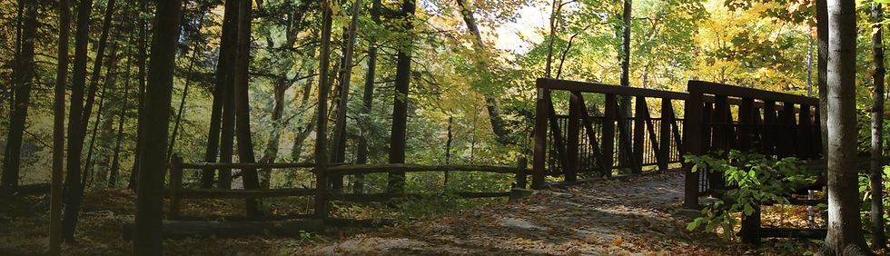 A nature scene with trees and a bridge entrance on the right.