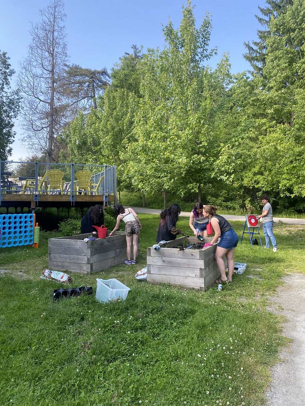 Young people gardening in raised beds outdoors