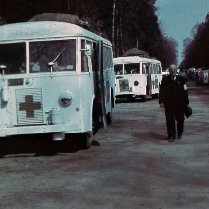 2 buses in a line with a person walking next to them.