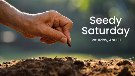 Hand planting a seed in soil with blurred green background. Text reads: "Seedy Saturday, Saturday, April 11." Warm, earthy tones.