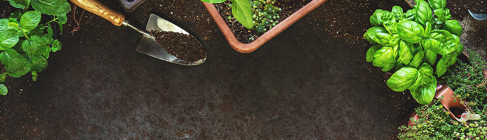 A birds eyeview photo of a garden with green plants and a shovel.