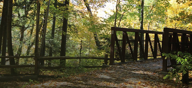 A nature scene with trees and a bridge entrance on the right.