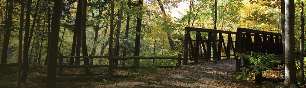 A picture with trees on the left and a bridge on the right.