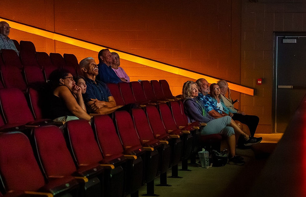 An audience sitting in a darkened theater watching a performance.