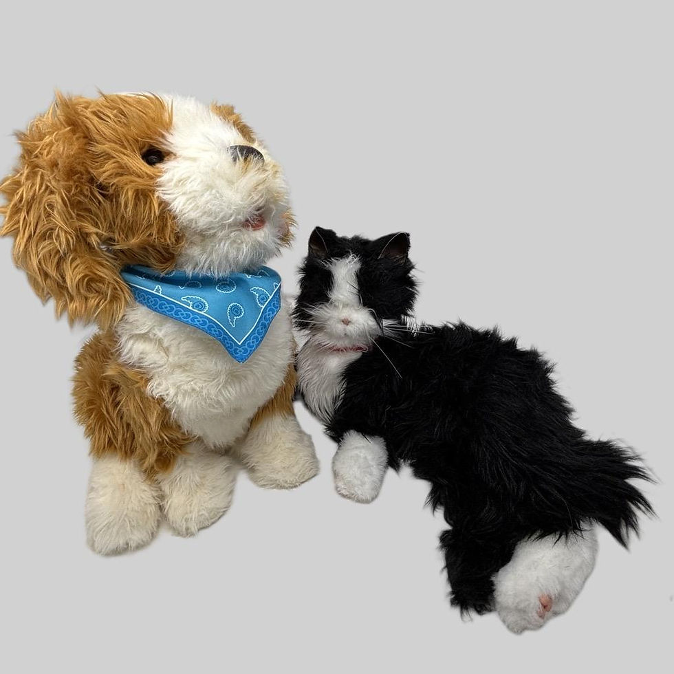 A robotic dog on the left and robotic cat on the right.